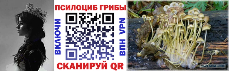 Псилоцибиновые грибы ЛСД  где найти наркотики  mega ссылки  Тырныауз 